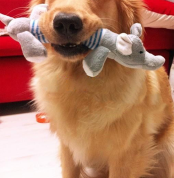 image_2023-08-25_111231097 image_2023-08-25_111231097